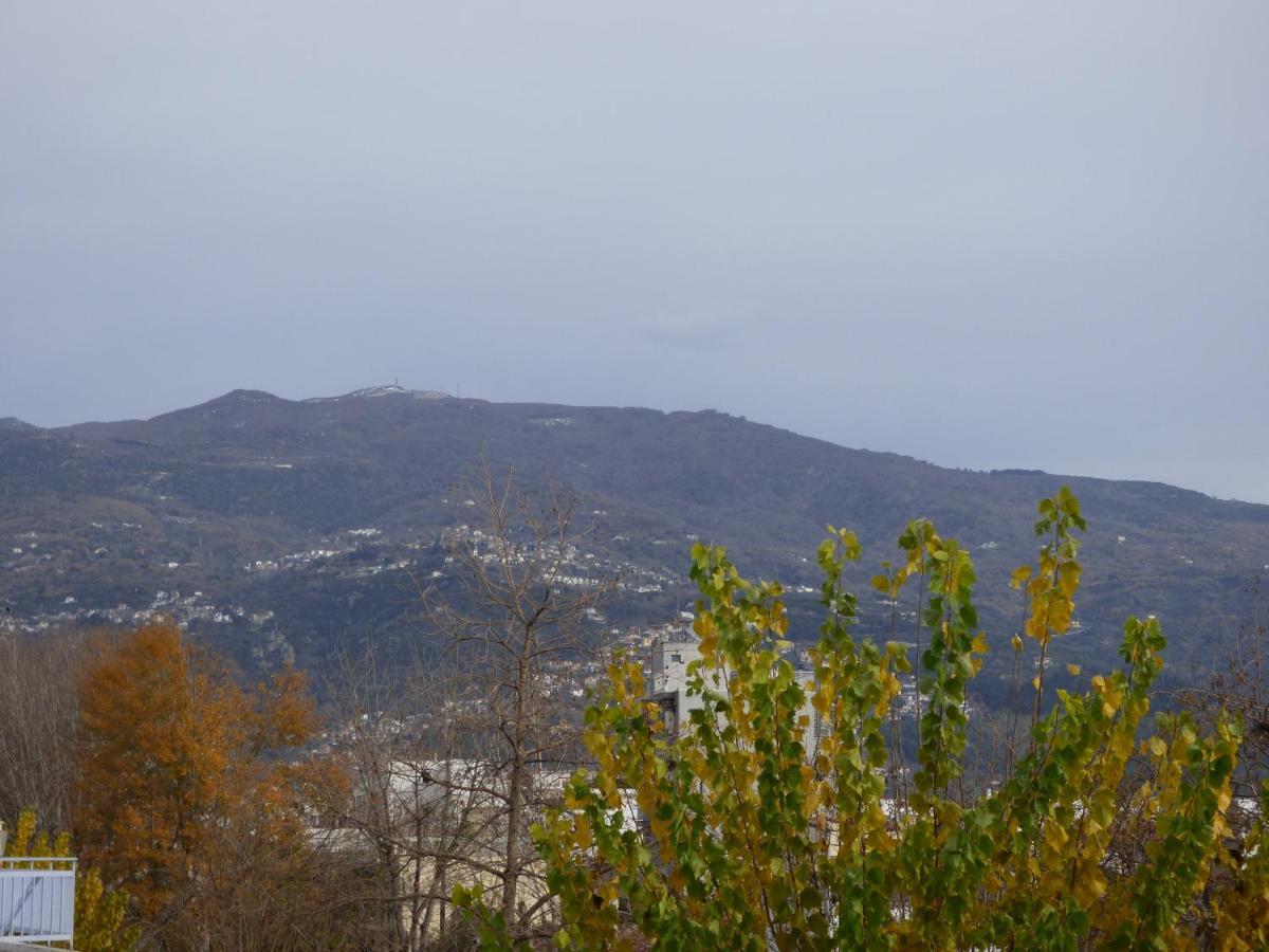 Old City View Apartment Volos Exterior photo